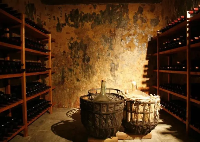 New Spacious With Balcony In The Heart Of 아파트 나오우사