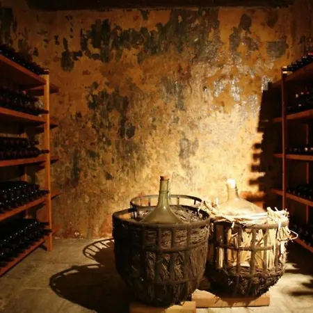 New Spacious With Balcony In The Heart Of Apartament Nausa